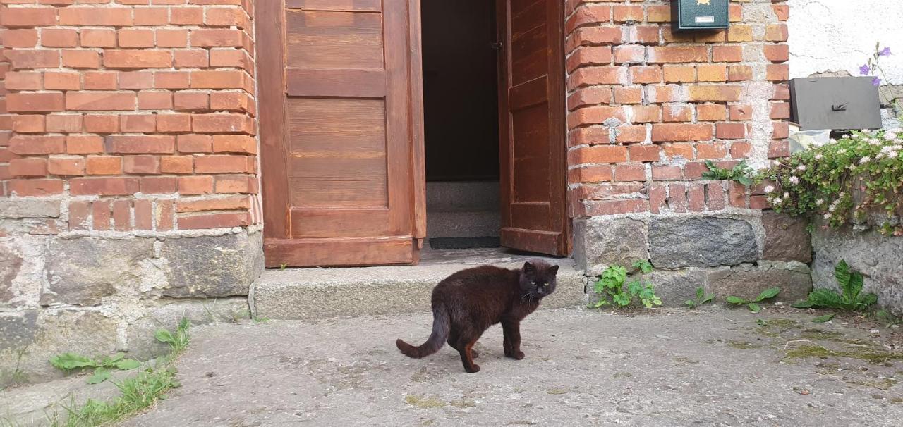 Mazurska Przystan Villa Dabrowno  Luaran gambar